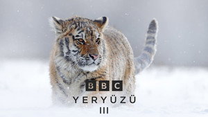 Bolygónk, a Föld III kép