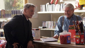NCIS: Tengerészeti helyszínelők 6. évad Ep.4 Szülőföld