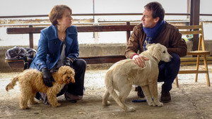 Puppy Love 1. évad Ep.1 1. epizód