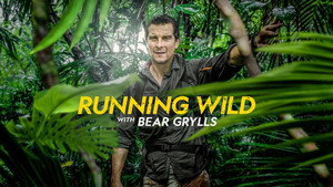 Bear Grylls: Sztárok a vadonban kép