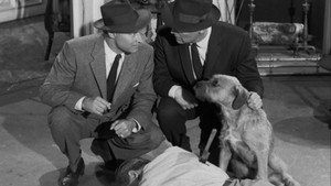 Perry Mason 1. évad Ep.17 17. epizód