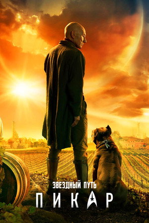 Star Trek: Picard poszter