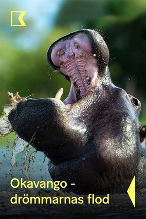 Okavango: River of Dreams poszter