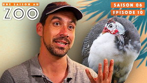 Une saison au zoo 6. évad Ep.10 10. epizód