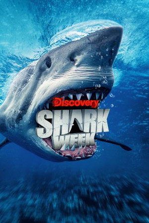 Shark Week 38. évad (2025-07-20) poszter