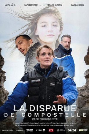 La Disparue de Compostelle poszter