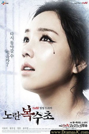 노란 복수초 poszter