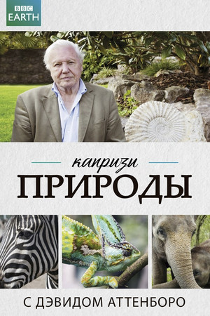 A természet furcsaságai David Attenborough-val poszter