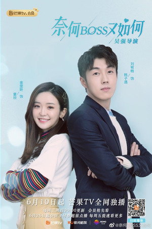 奈何BOSS又如何 poszter