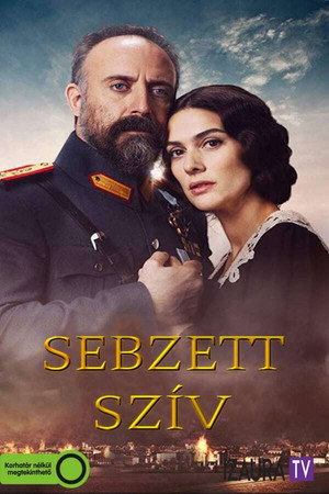 Sebzett szív 2. évad (2017-11-09) poszter