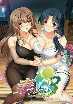 妻みぐい3 poszter
