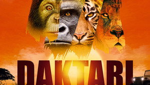 Daktari kép