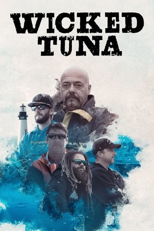 Tonhal-csaták poszter