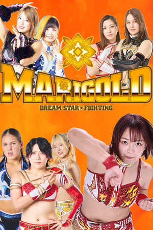 マリーゴールド poszter
