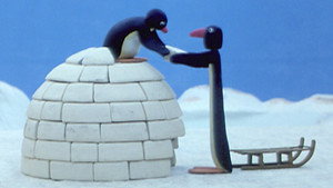 Pingu 1. évad Ep.15 Hogy készül a jégkunyhó?