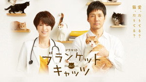 ブランケット・キャッツ kép