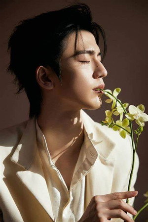 张凌赫 profil kép