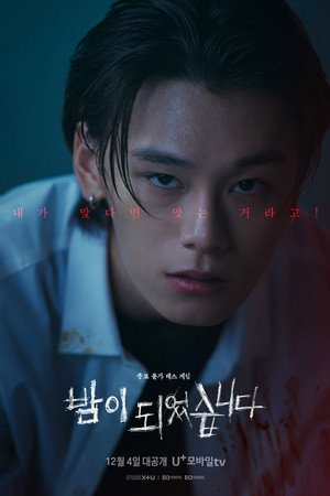 밤이 되었습니다 poszter