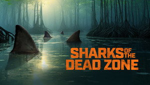 Shark Week 37. évad Ep.18 18. epizód
