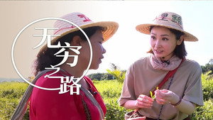 無窮之路 1. évad Ep.7 7. epizód