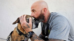 Dogs of War kép