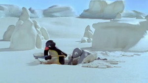 Pingu 5. évad Ep.3 Pingu bajt csinál