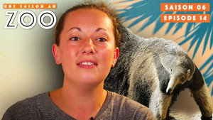 Une saison au zoo 6. évad Ep.14 14. epizód