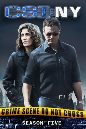 CSI: New York-i helyszínelők 5. évad (2008-09-24) poszter