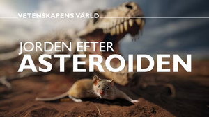 Vetenskapens värld 49. évad Ep.23 23. epizód