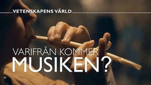 Vetenskapens värld 47. évad Ep.5 5. epizód