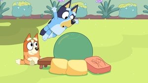 Bluey 3. évad Ep.3 Akadálypálya