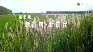 改革開放四十年 1. évad Ep.5 5. epizód