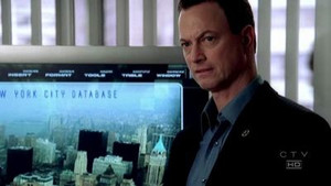 CSI: New York-i helyszínelők 2. évad Ep.20 Feltépett sebek