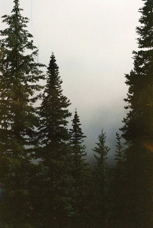 Twin Peaks poszter
