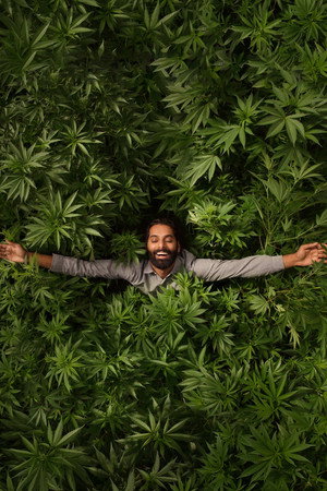 Weediquette poszter