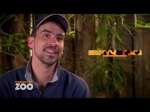 Une saison au zoo 5. évad Ep.33 33. epizód