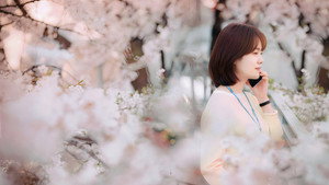 봄밤 kép