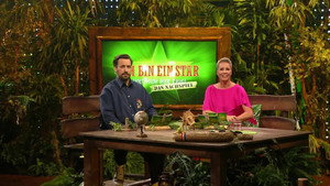 Ich bin ein Star – Holt mich hier raus! 18. évad Ep.19 19. epizód