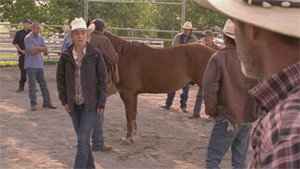 Heartland 4. évad Ep.8 8. epizód