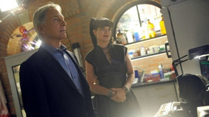 NCIS: Tengerészeti helyszínelők 13. évad Ep.6 Káros képek