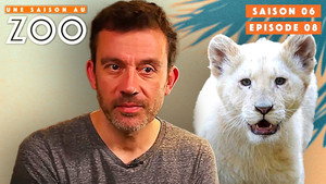 Une saison au zoo 6. évad Ep.8 8. epizód