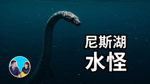 老高与小茉 Speciális epizódok Ep.262 262. epizód