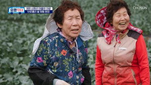 방방곡곡 낭만로드 유랑닥터 1. évad Ep.18 18. epizód