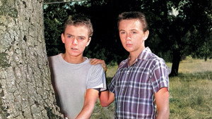 The Hardy Boys kép