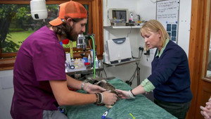 Joanna Page's Wild Life 1. évad Ep.2 2. epizód
