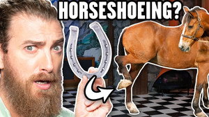 Good Mythical Morning 21. évad Ep.121 121. epizód