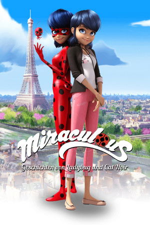 Miraculous Katicabogár és Fekete Macska kalandjai poszter