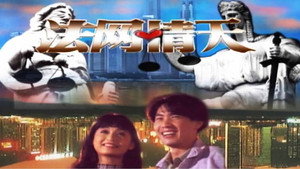 法网情天 kép