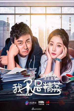 我不是精英 poszter