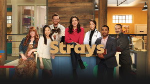 Strays kép